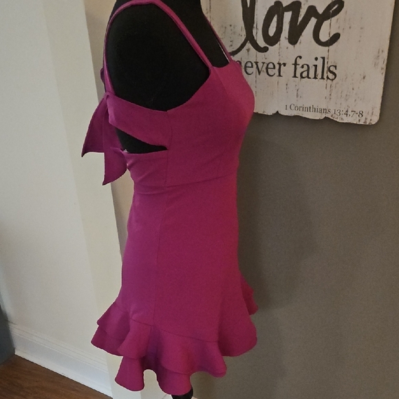 Rare Editions Raspberry Pink Dress - Picture 2 of 5